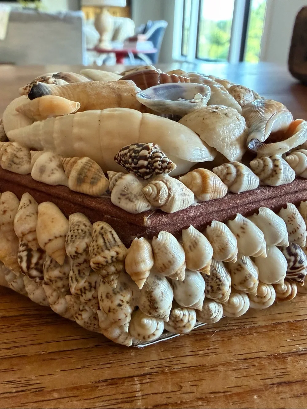 Vintage Source Unknown Seashell Accent Box in Cream and Tan Trinket Box
